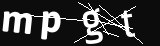 verifycode